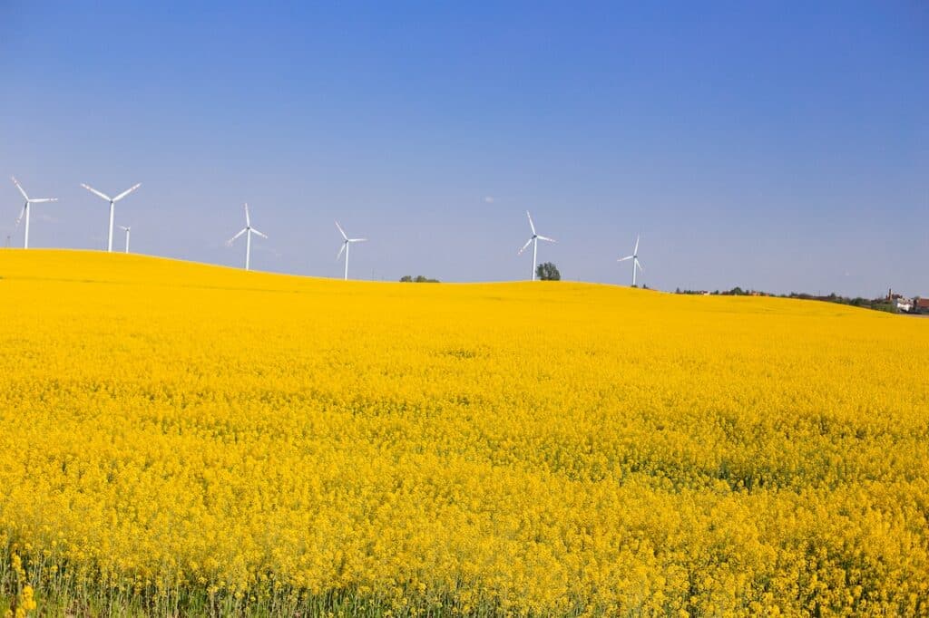 In einen Windpark investieren