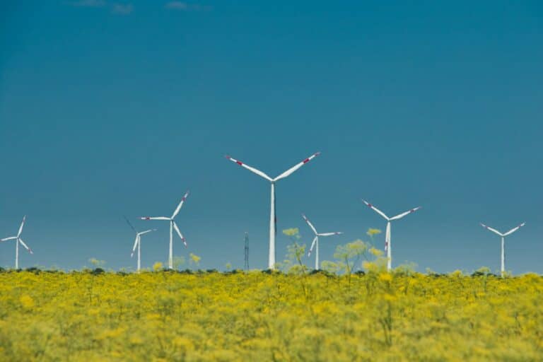 Vor- und Nachteile von Windkraft