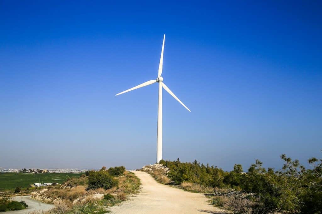 Windenergie und der Naturschutz