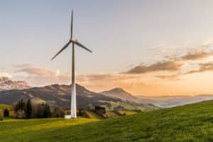 Windenergie und Naturschutz